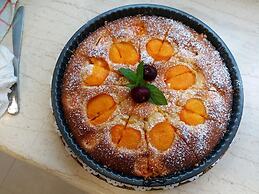 Summer Wine Friendly Resort