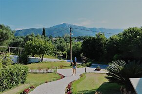 Summer Wine Friendly Resort