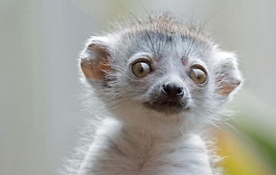 OYO Newquay Beach Hotel