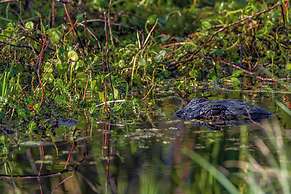 Camp Mack Lodge, Marina & RV Resort