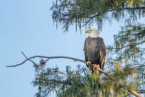 Camp Mack Lodge, Marina & RV Resort