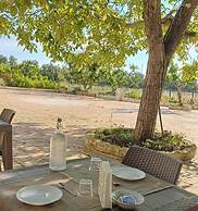 Tenuta Vigna Del Noce
