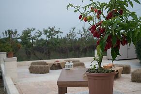 Tenuta Vigna Del Noce