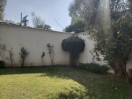 Hotel Singular Coyoacán