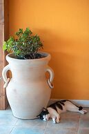 Agriturismo Cuaddus e Tellas