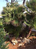 Palese Profumo di Mare