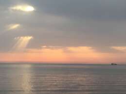 Palese Profumo di Mare