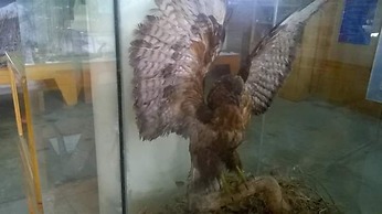 Gorgeous Village Guest House