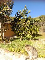 Casa Rural Las Gesillas