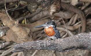 Sandpiper Villas Chobe