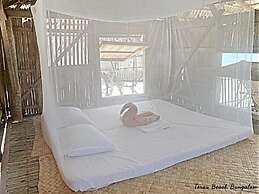 Terau Beach Bungalow