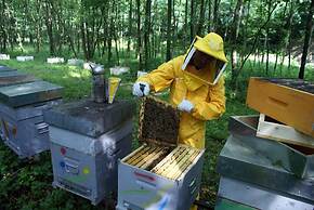 Agriturismo Florandonole