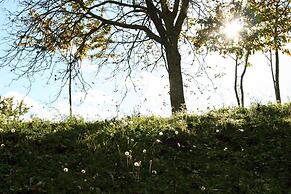 Agriturismo Florandonole