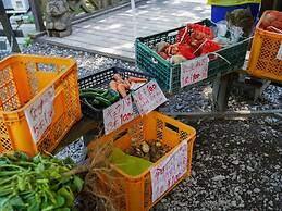 Shimizu Kuniaki’s Paradise of Forest and Lake