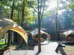 Shimizu Kuniaki’s Paradise of Forest and Lake