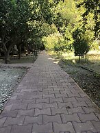 Olympos Varuna Pension