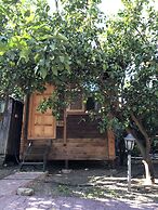 Olympos Varuna Pension