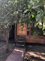 Olympos Varuna Pension