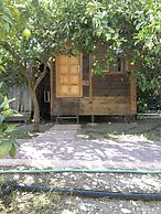 Olympos Varuna Pension