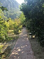 Olympos Varuna Pension