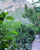 Olympos Varuna Pension