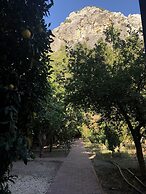 Olympos Varuna Pension