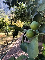 Olympos Varuna Pension