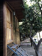 Olympos Varuna Pension