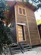 Olympos Varuna Pension