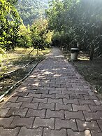 Olympos Varuna Pension