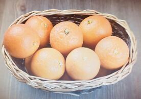 Hola Cathedral House