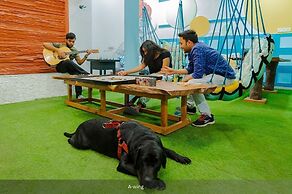 Moustache Udaipur - Hostel