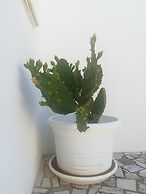 Affittacamere Paduli Piani