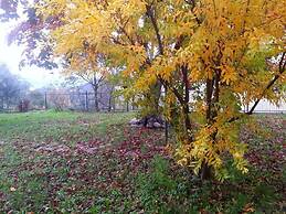 Gli Aceri Bed and Breakfast