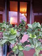 Gli Aceri Bed and Breakfast