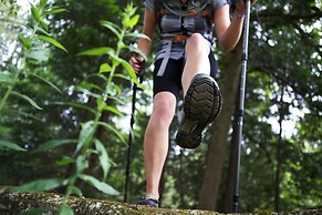 Chimo Refuges Treehouse Resort