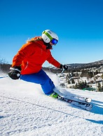 Chimo Refuges Treehouse Resort