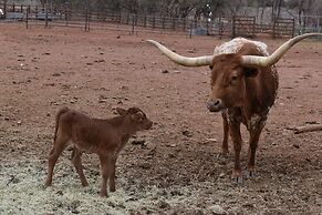 Cougar Ridge Resort, LLC