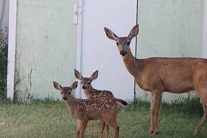 The Pioneer Craftsman House - Closest to Osf