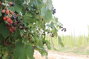 Hopyard View Farm - A Farm Experience in Ashland