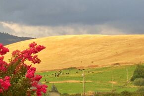 Hopyard View Farm - A Farm Experience in Ashland