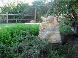 Hopyard View Farm - A Farm Experience in Ashland