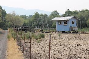 Hopyard View Farm - A Farm Experience in Ashland
