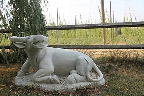 Hopyard View Farm - A Farm Experience in Ashland