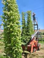 Hopyard View Farm - A Farm Experience in Ashland