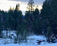 Mountain Pine Cabin - Sleeps 6 - Pet Friendly