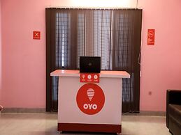 OYO 13746 Mint Leaves