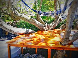 SURFtoLIVE House - Hostel