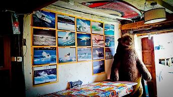 SURFtoLIVE House - Hostel