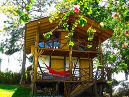 Hotel la Casa de Francois - Hostel